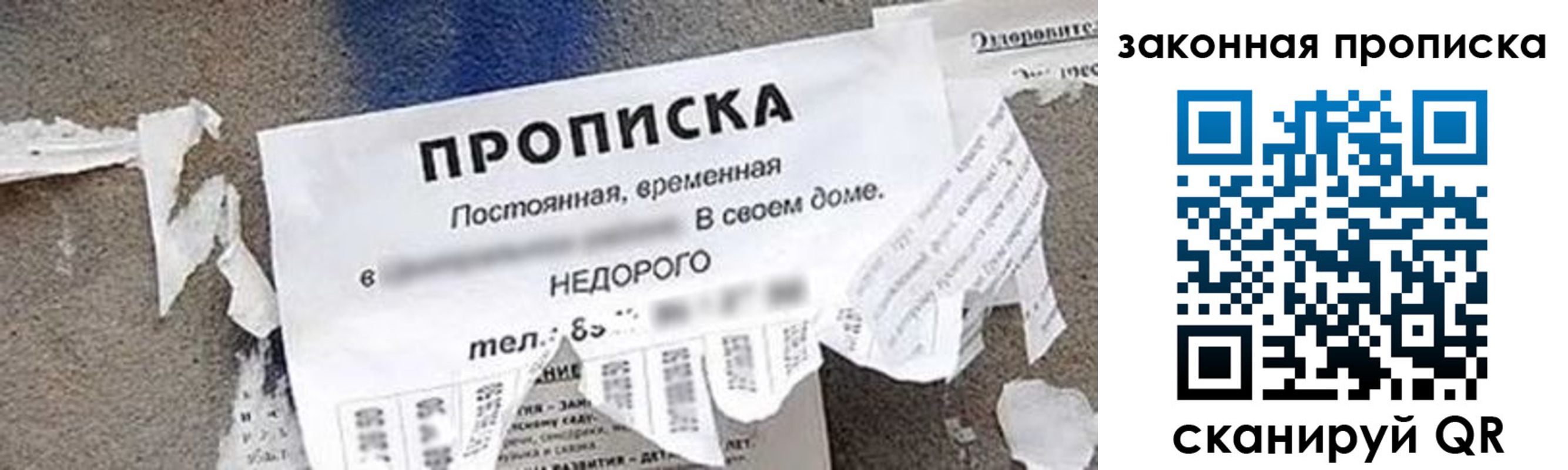 прописка иностранных граждан в Гвардейске