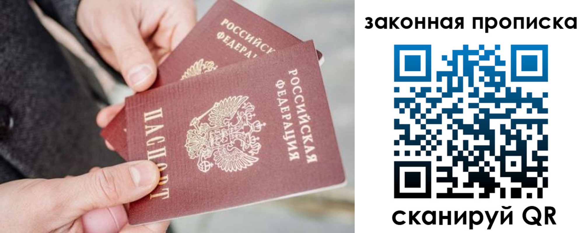 прописка штамп в Гвардейске